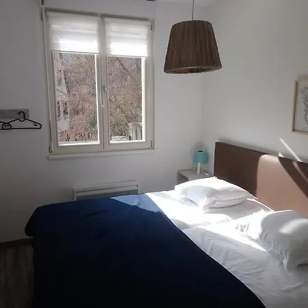 Apartamento -alsace- -centre Historique